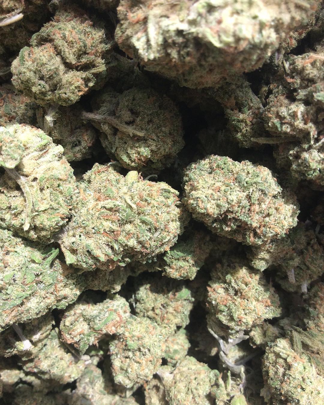 Buy Banana Kush - Image 2