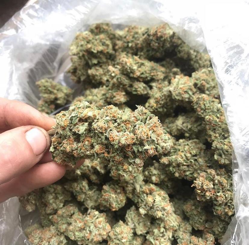 DURBAN POISON
