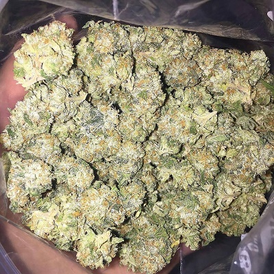 Northern Lights kush