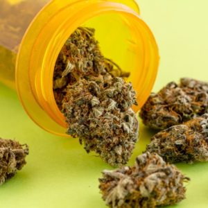 Buy Gelato 41 Online illinois,gelato 41 for sale chicago,buy moonrock clear cartridges, order dankwood prerolls in Elgin,gelato 41 prices